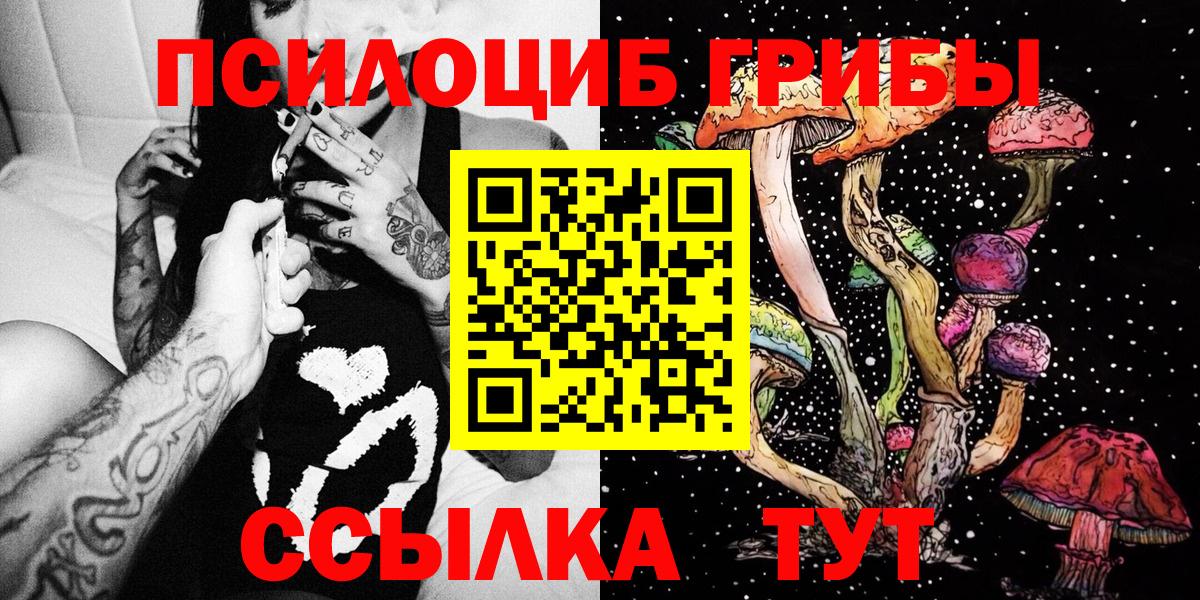 Псилоцибиновые грибы мицелий Подольск